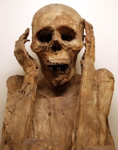 A Peruvian mummy at La Specola, Florence